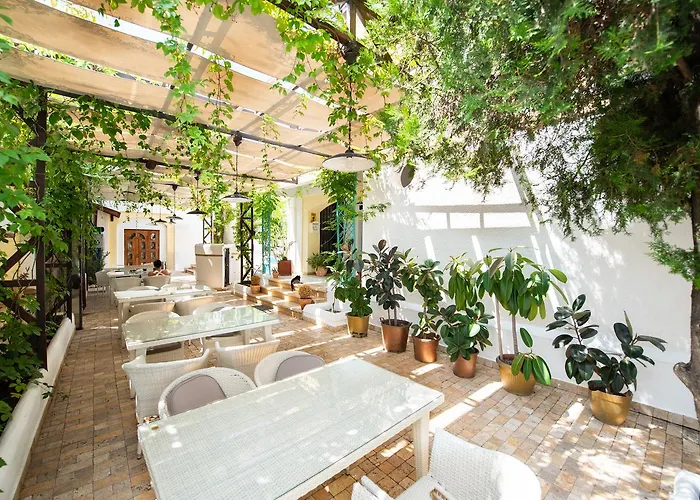 게스트하우스 Pontica Năvodari